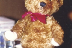 old bear after 1