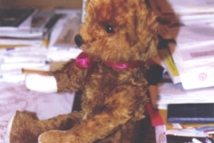 old bear after 2