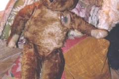 old bear before 1