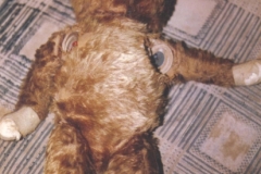 old bear before 2