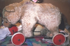 steiff on wheels side